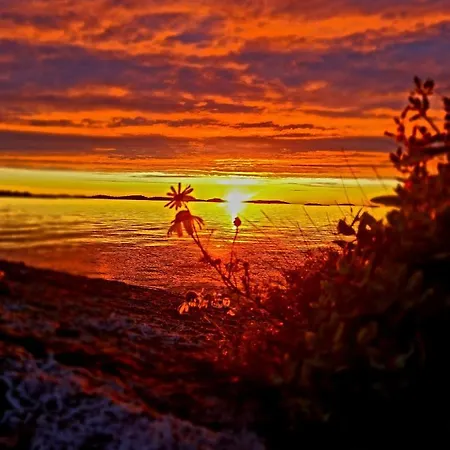 Laukvik Senja Ferieparker Botnhamn