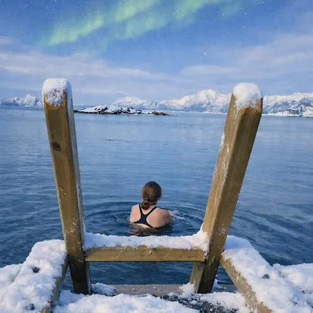 Laukvik Senja *