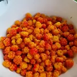 ホリデーパーク Laukvik Senja Botnhamn